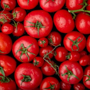 Iranian Fresh Tomatoes